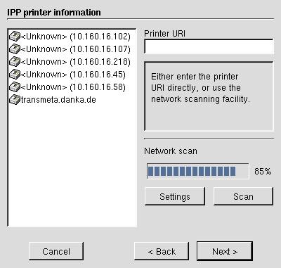 I KDEPrint-guiden, kan du indtaste netværksdetaljer direkte, eller du kan skanne netværket automatisk.